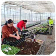 <p>Werking Zorghoeve Sint-Jansberg</p>