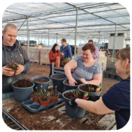 <p>Werking Zorghoeve Sint-Jansberg</p>