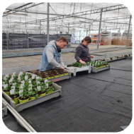 <p>Werking Zorghoeve Sint-Jansberg</p>